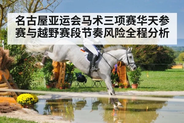 名古屋亚运会马术三项赛华天参赛与越野赛段节奏风险全程分析